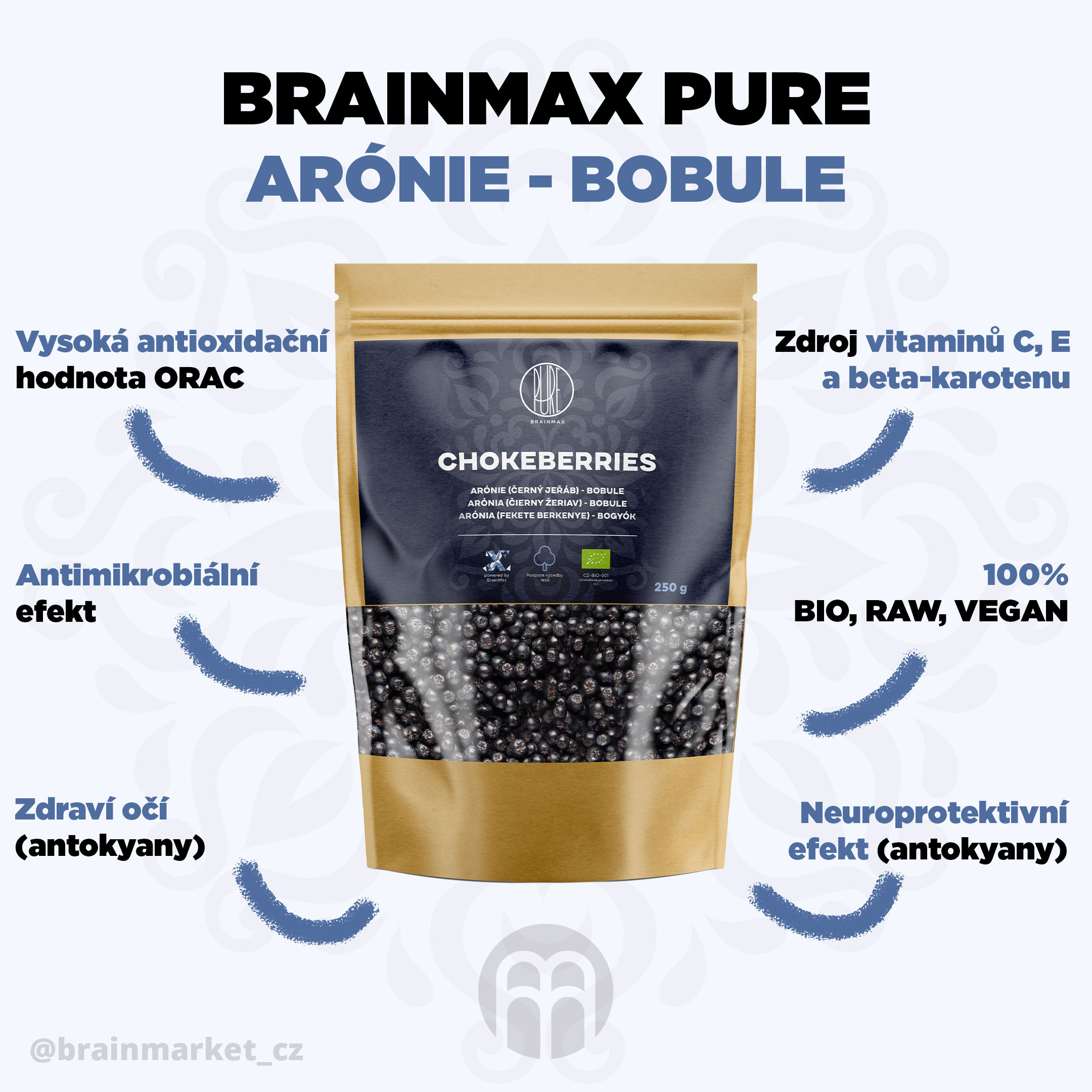 arónie bobule infografika brainmarket CZ